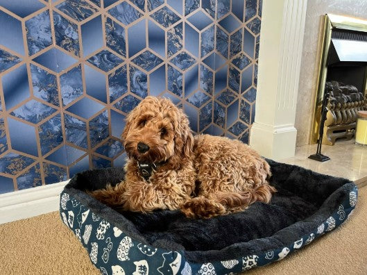 Dog lying inside a square-shaped dog bed, cozy and comfortable - Customer review photo