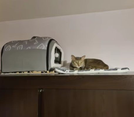Cat lying next to a warm cat bed, looking at the camera - Customer review photo