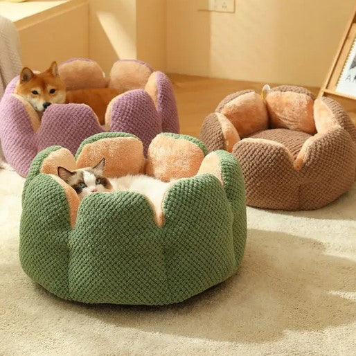 Cat and dog lying in two different colored cozy pet beds