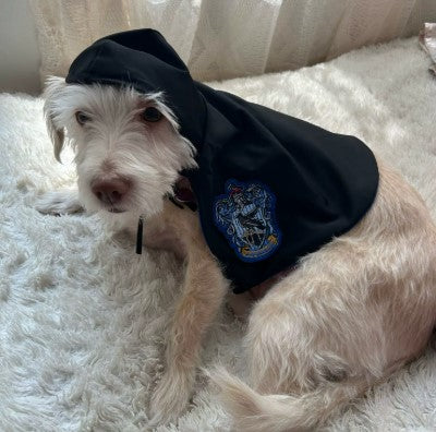 Dog wearing a cape-style coat for pets - Customer review photo