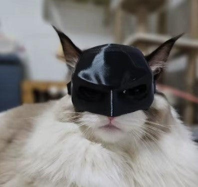 Cat wearing black Batman halloween mask cosplay - Customer review photo