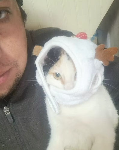 Man holding a cat wearing a white reindeer-shaped hat - Customer review photo