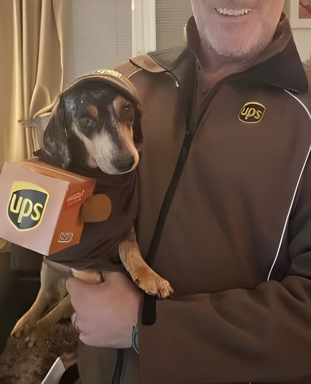 UPS worker holding a small dog dressed in a UPS delivery costume for pets - Customer review photo