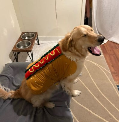 Dog wearing a hot dog costume yawning while sitting on the floor - Customer review photo