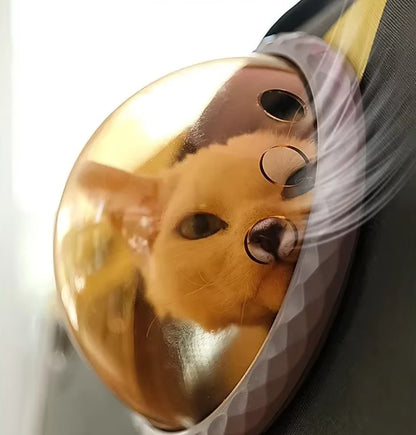 Breathable Pet Backpack, Cat and Dog Travel Carrier, Comfortable Pet Backpack for Travel