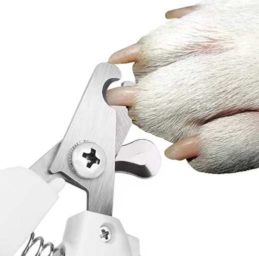 Kit de toilettage pour chat 8 pièces – Soins complets pour chats et petits chiens
