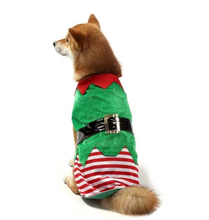 Striped Christmas and Halloween dog costume vest for festive Santa and elf looks