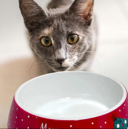 Christmas-themed stainless steel dog bowl with festive design, perfect for food and water