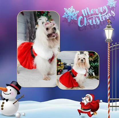 Red Christmas dog dress with glittering belt for small dogs and cats