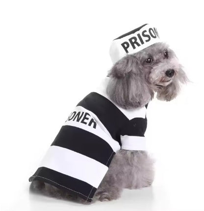 Pet wearing Halloween and Christmas knitted sweaters, featuring festive designs for dogs and cats.