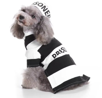 Pet wearing Halloween and Christmas knitted sweaters, featuring festive designs for dogs and cats.