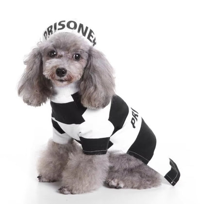 Pet wearing Halloween and Christmas knitted sweaters, featuring festive designs for dogs and cats.