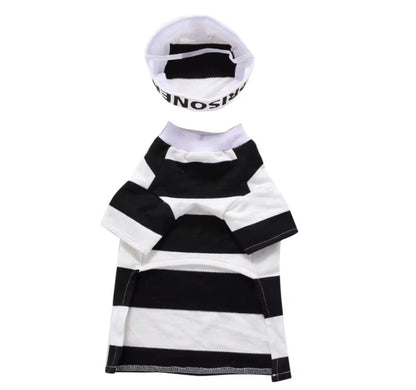 Pet wearing Halloween and Christmas knitted sweaters, featuring festive designs for dogs and cats.