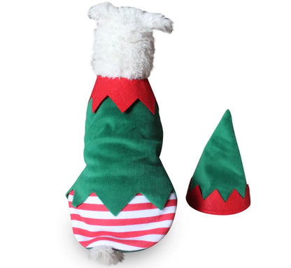 Pet wearing Halloween and Christmas knitted sweaters, featuring festive designs for dogs and cats.