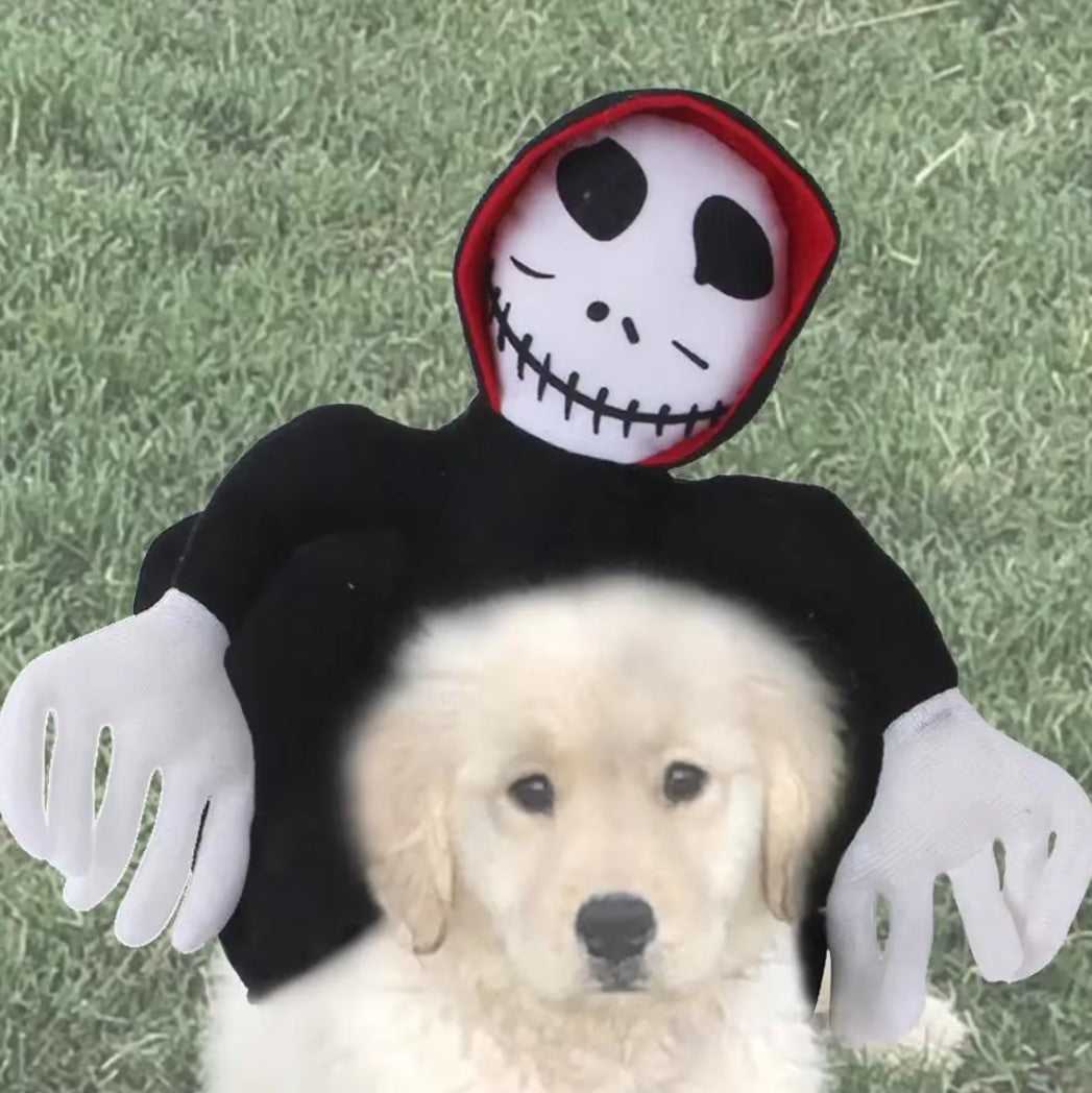Costume de chien fantôme – Tenue d'Halloween mignonne pour animaux de compagnie