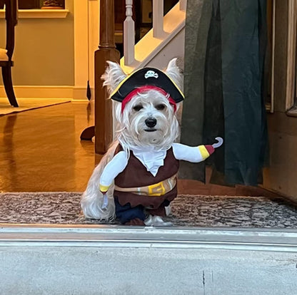 Halloween Pirate Dog Costume – Fun Corsair Outfit for Festive Pets - The Pet Paradise