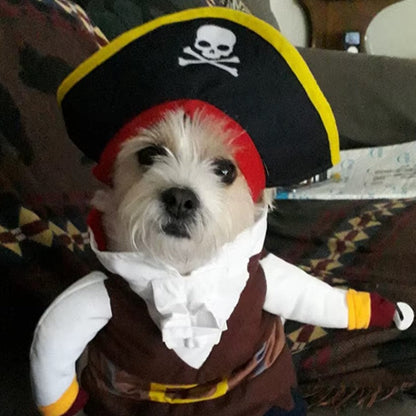 Halloween Pirate Dog Costume – Fun Corsair Outfit for Festive Pets - The Pet Paradise