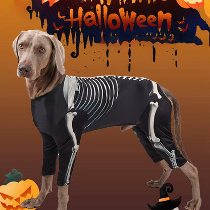 Halloween Dog Skeleton Costume – Spooky Sweatshirt for Dogs - The Pet Paradise