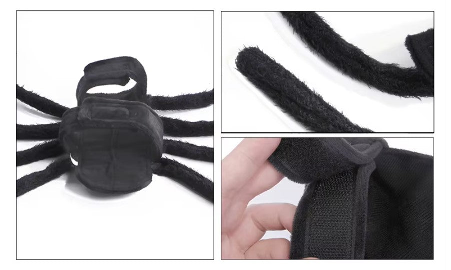 Dog dressed in a black Halloween spider costume with plush legs.