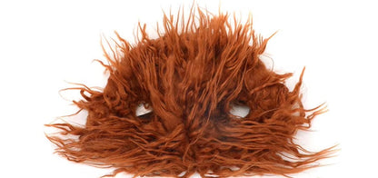 Medium-sized dog wearing a funny Halloween costume with adjustable straps.