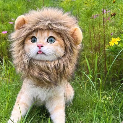 Cat wearing a fluffy lion mane hat, ideal for Halloween or costume parties.