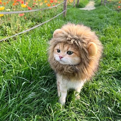 Cat wearing a fluffy lion mane hat, ideal for Halloween or costume parties.