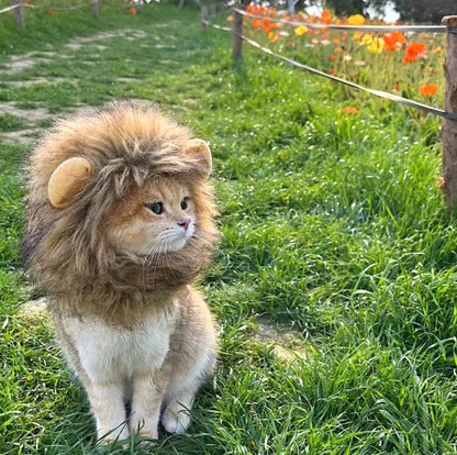 Cat wearing a fluffy lion mane hat, ideal for Halloween or costume parties.
