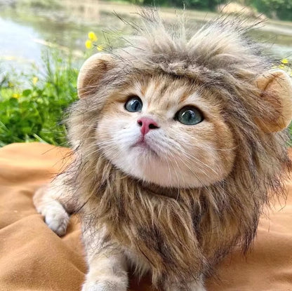 Cat wearing a fluffy lion mane hat, ideal for Halloween or costume parties.