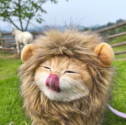 Cat wearing a fluffy lion mane hat, ideal for Halloween or costume parties.
