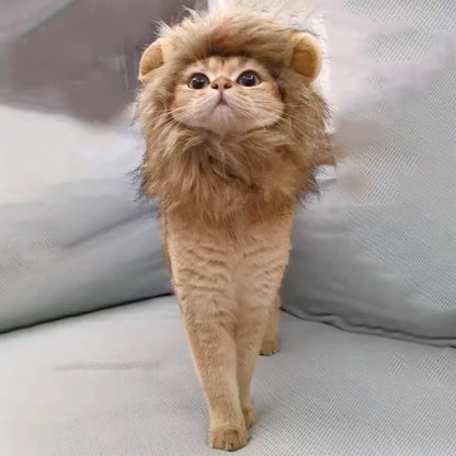 Cat wearing a fluffy lion mane hat, ideal for Halloween or costume parties.