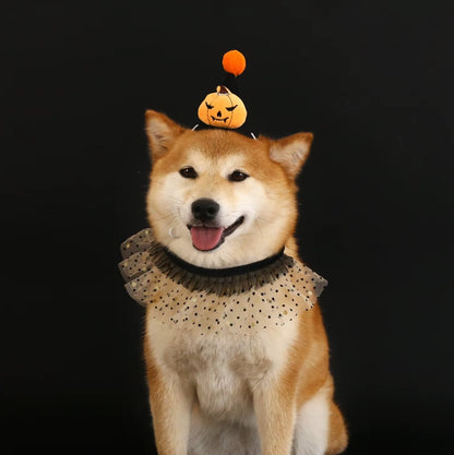Pet Halloween costume set with bat, spider, and pumpkin hats, headband, lace bib, and scarf for cats and dogs.