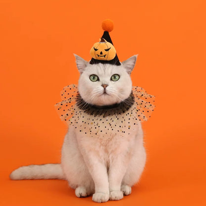 Pet Halloween costume set with bat, spider, and pumpkin hats, headband, lace bib, and scarf for cats and dogs.