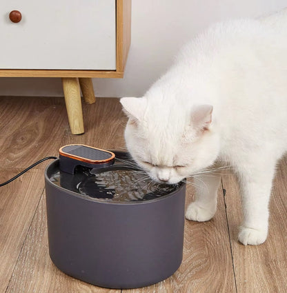 3L automatic cat water fountain with dual outlets and quiet motor for continuous hydration.