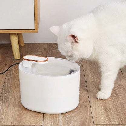 3L automatic cat water fountain with dual outlets and quiet motor for continuous hydration.