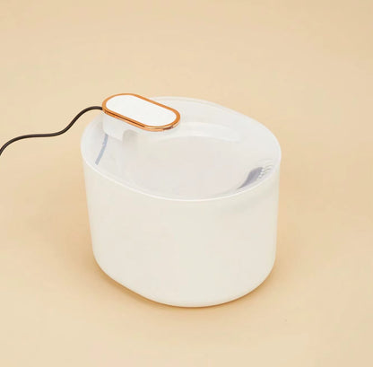 3L automatic cat water fountain with dual outlets and quiet motor for continuous hydration.