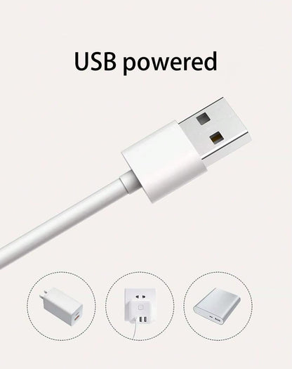 3L automatic cat water fountain with dual outlets and quiet motor for continuous hydration.