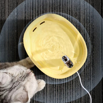 Silent automatic cat water fountain with double filtration and smart flow system for healthy hydration.
