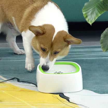 Anti-spill dog drinking water bowl with floating plate design for clean, splash-free pet hydration indoors and during travel.