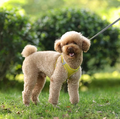 Adjustable dog harness leash set for small breeds like French Bulldogs and Chihuahuas, featuring padded vest and durable leash.