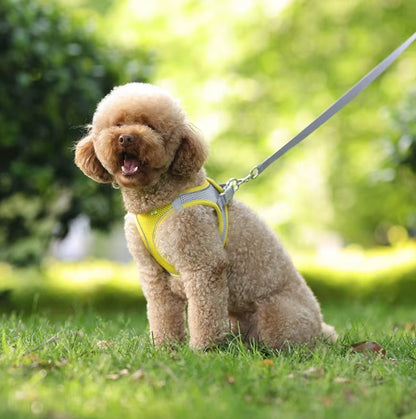 Adjustable dog harness leash set for small breeds like French Bulldogs and Chihuahuas, featuring padded vest and durable leash.