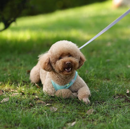 Adjustable dog harness leash set for small breeds like French Bulldogs and Chihuahuas, featuring padded vest and durable leash.