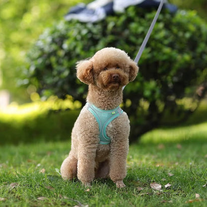 Adjustable dog harness leash set for small breeds like French Bulldogs and Chihuahuas, featuring padded vest and durable leash.