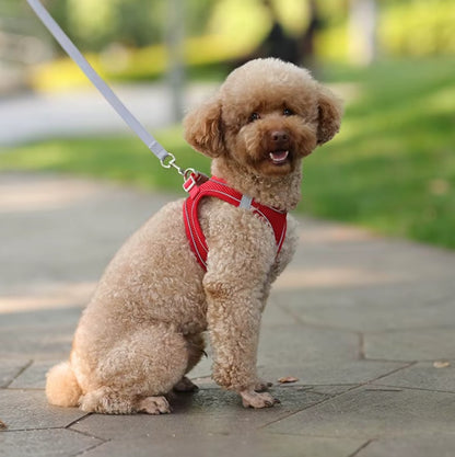 Adjustable dog harness leash set for small breeds like French Bulldogs and Chihuahuas, featuring padded vest and durable leash.