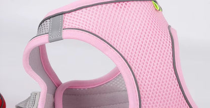 Adjustable dog harness leash set for small breeds like French Bulldogs and Chihuahuas, featuring padded vest and durable leash.