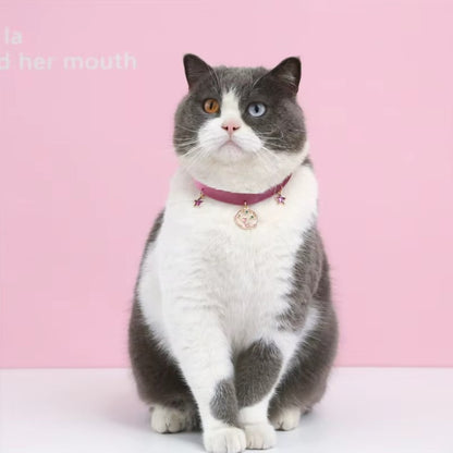 Velvet adjustable pet collar with bronzing star design for cats and small dogs