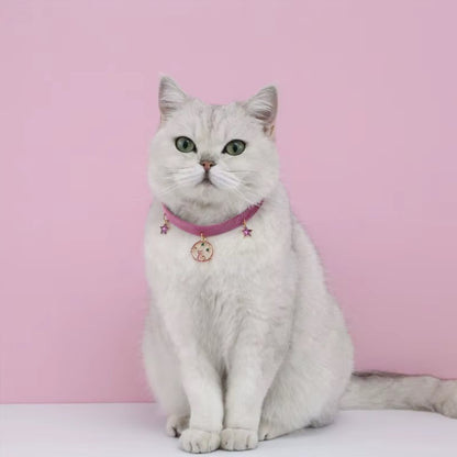 Velvet adjustable pet collar with bronzing star design for cats and small dogs