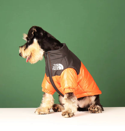 Reflective winter dog jacket for French Bulldogs and Chihuahuas