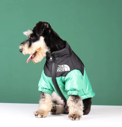 Reflective winter dog jacket for French Bulldogs and Chihuahuas