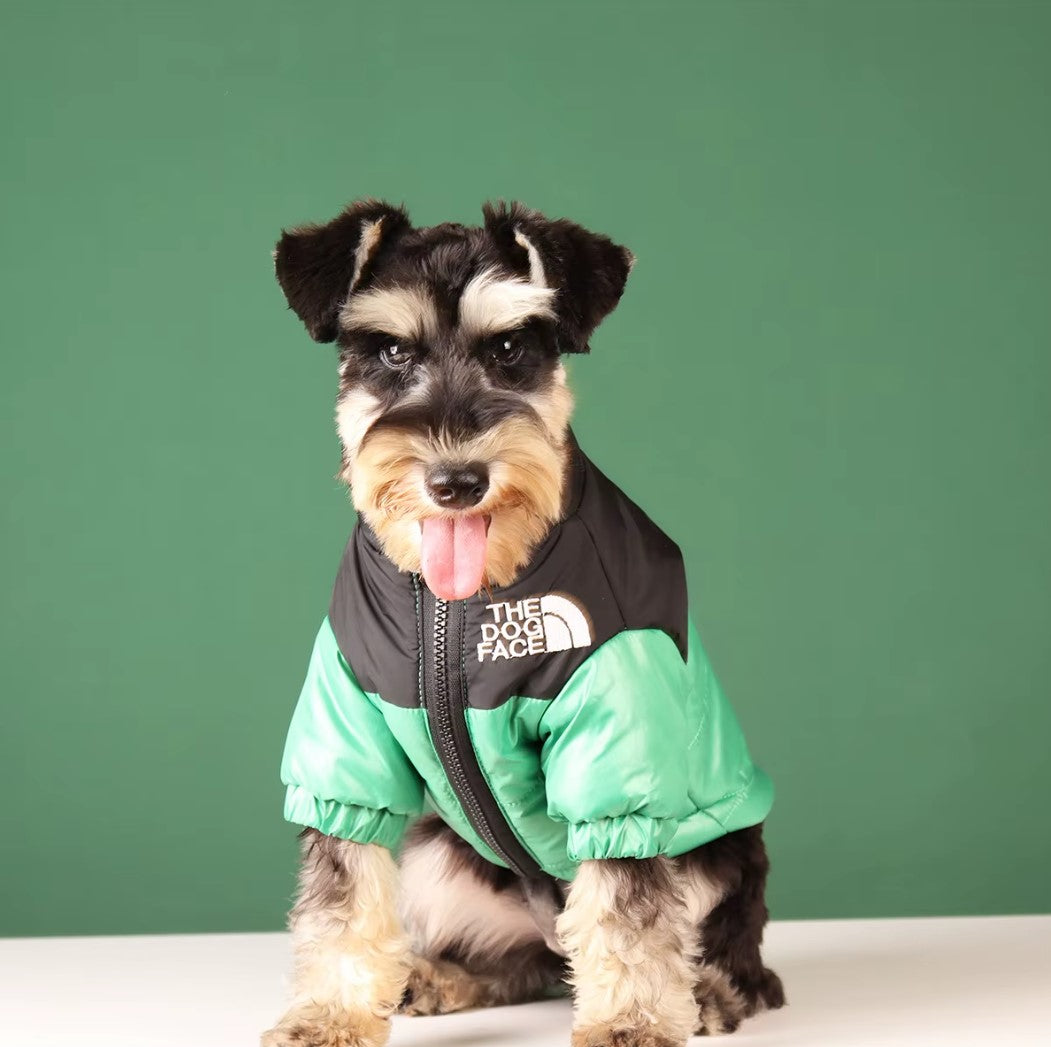Reflective winter dog jacket for French Bulldogs and Chihuahuas