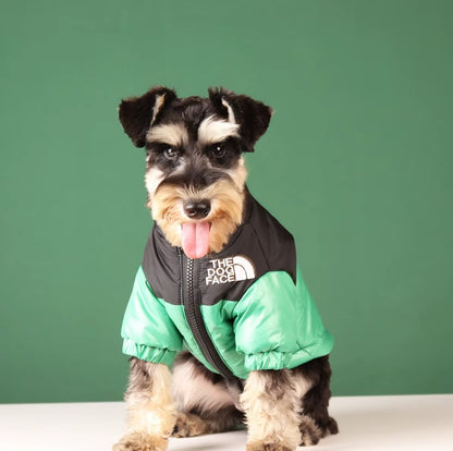 Reflective winter dog jacket for French Bulldogs and Chihuahuas